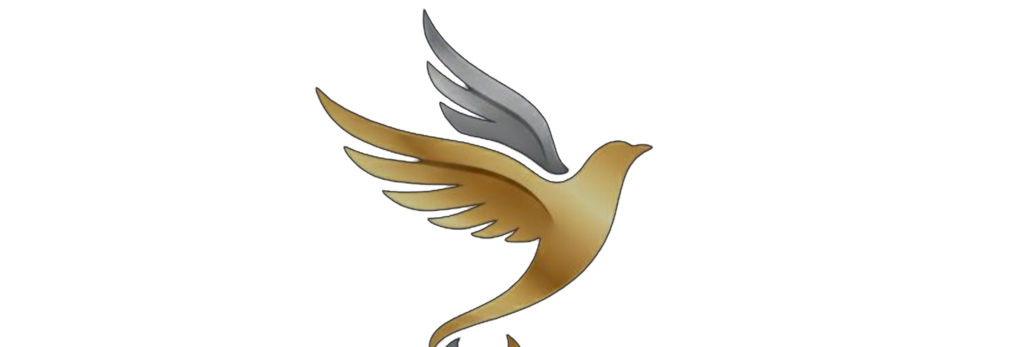 HAVEN dove